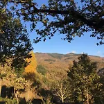 Rocca Di Febbre Pratovecchio